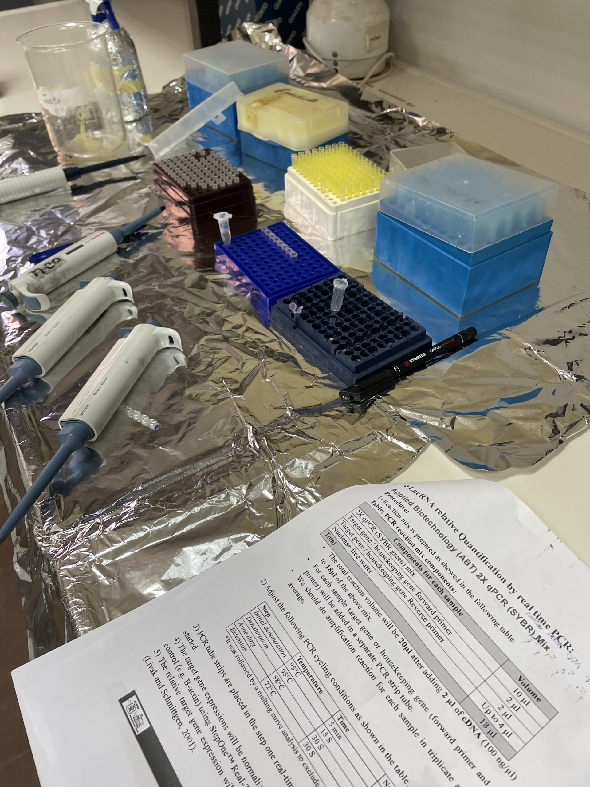 1st research school 10 scaled