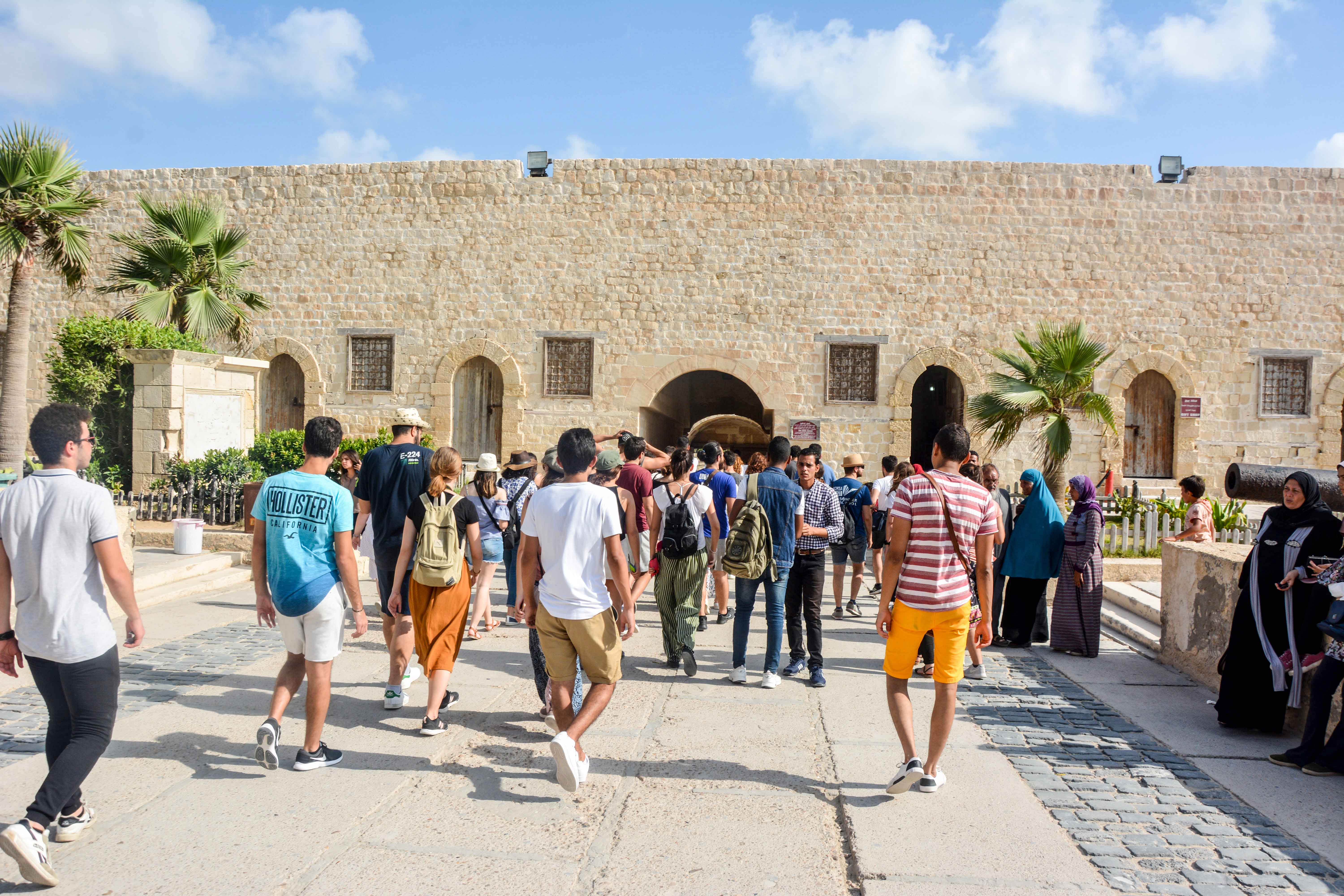 alexandria 132