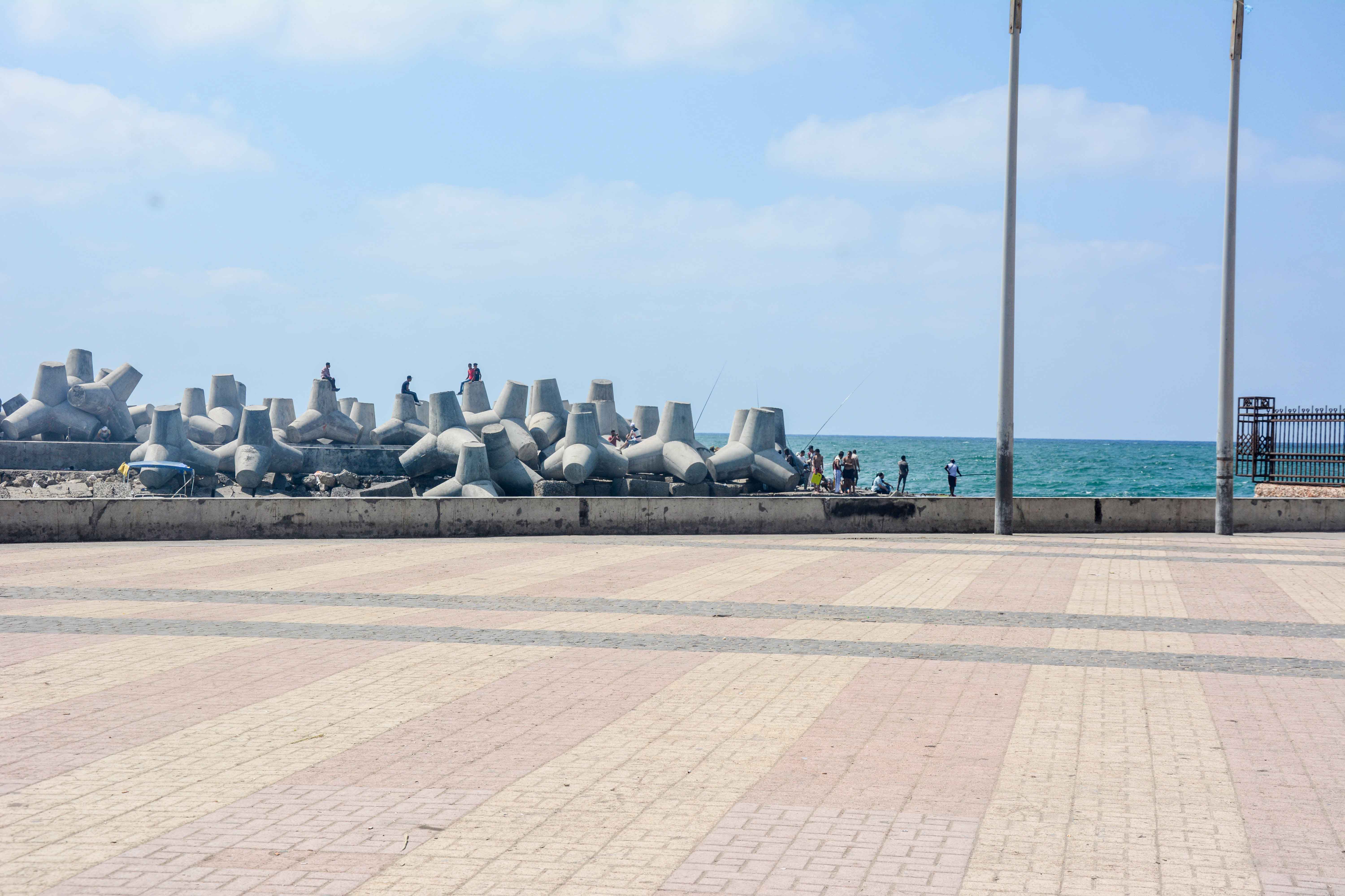 alexandria 51
