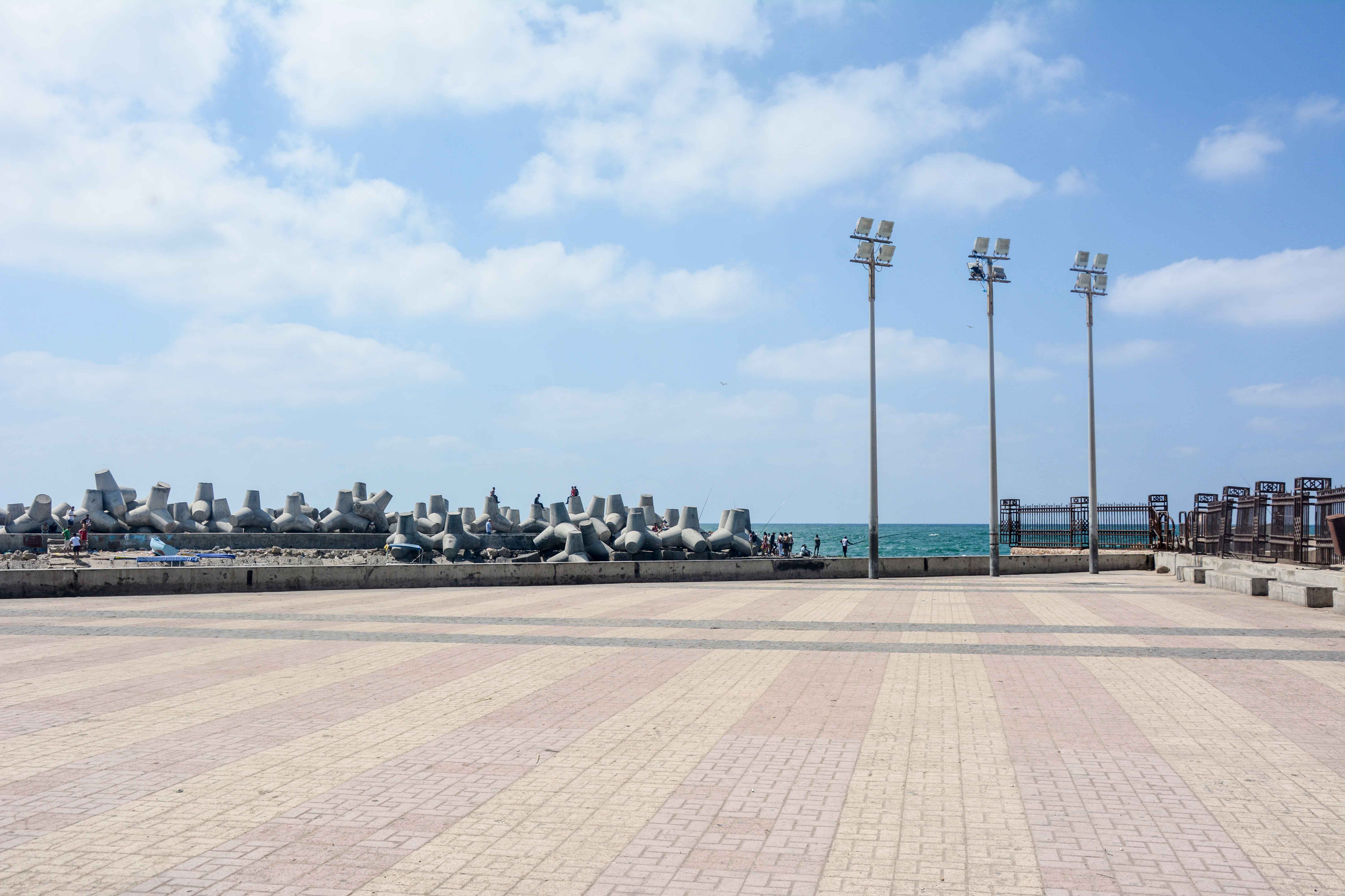 alexandria 52