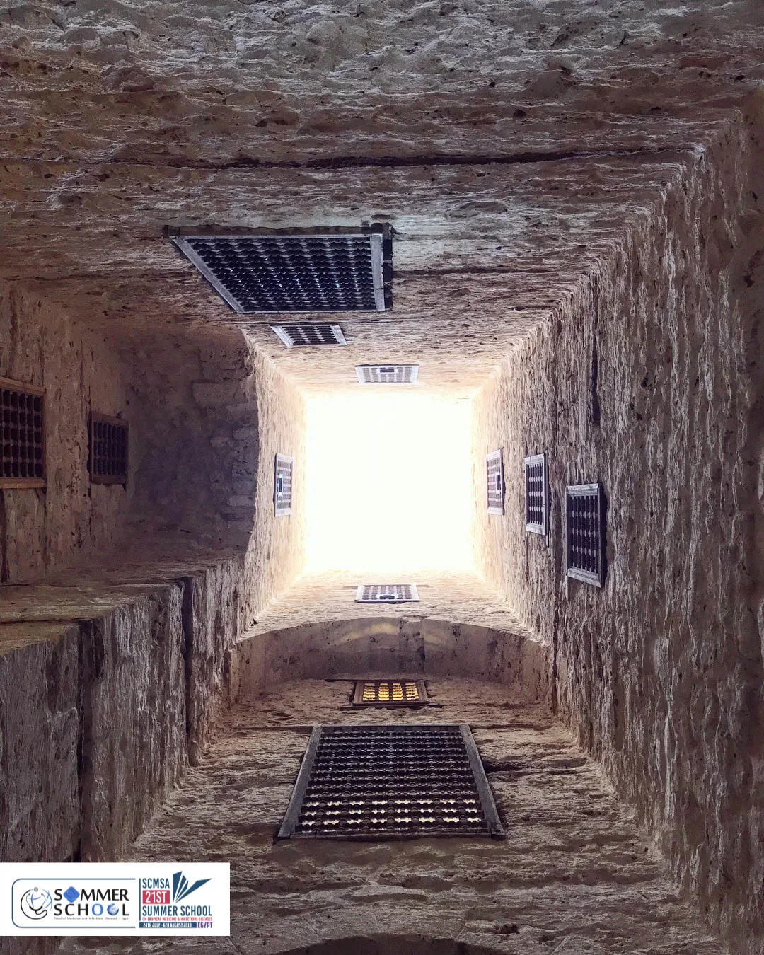 alexandria 6