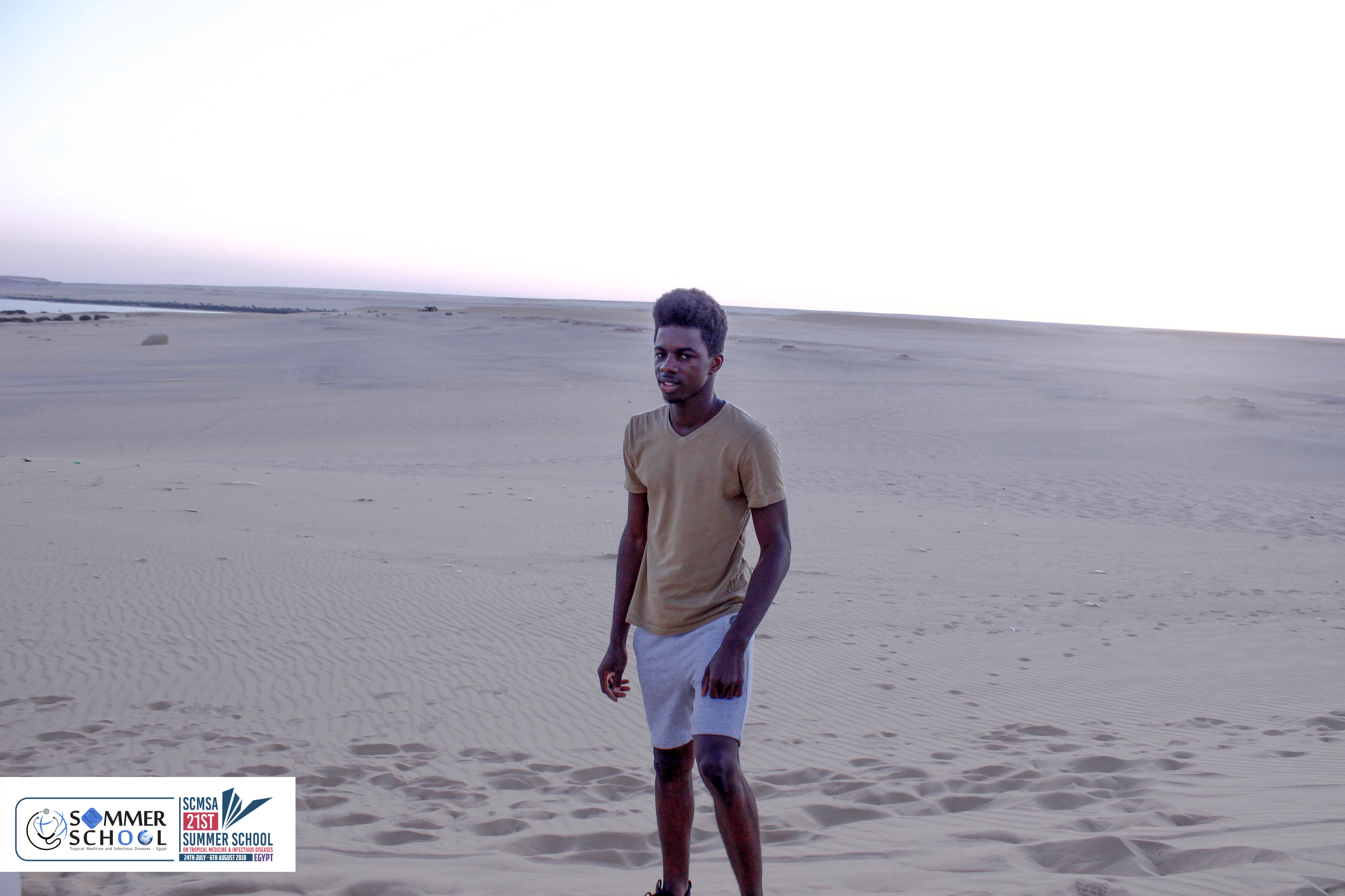 wady elryan 200
